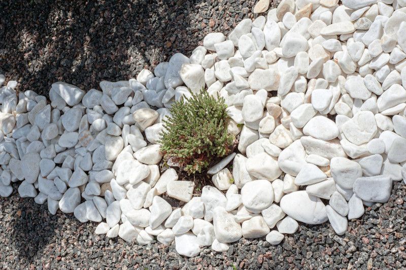 Imagen de grava canto rodado blanco sobre una superficie plana. Las piedras son de diferentes tamaños y formas, con un color blanco puro y una textura suave. Algunas de las piedras tienen vetas grises o beige. El fondo de la imagen es de color marrón claro.