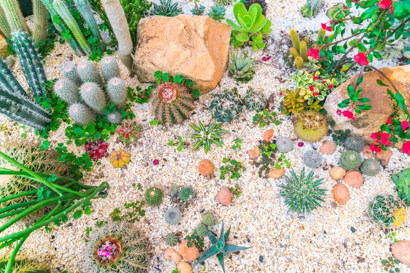 Las gravas de colores son una herramienta versátil y llena de posibilidades para darle un toque único y especial a tu jardín