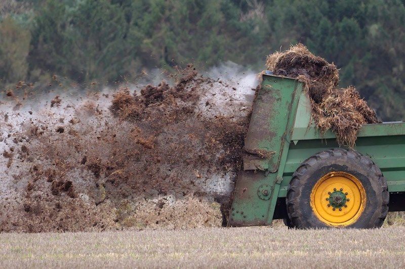 "Montones de estiércol de ganado compostado en un campo agrícola, listos para ser esparcidos como fertilizante natural que mejora la fertilidad del suelo y promueve un cultivo sostenible."